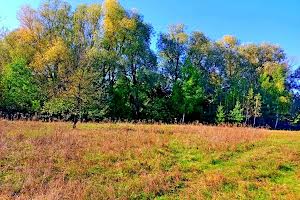 ділянка за адресою с. Клочків, Сновська