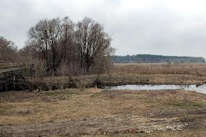 будинок за адресою с. Степанки, Ситника