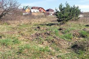 участок по адресу с. Петрушки, Патріотів, 18