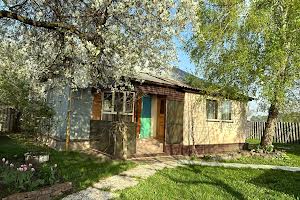 будинок за адресою с. Калинівка, Тракторна, 69
