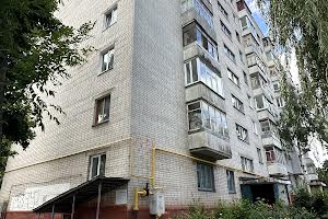 квартира по адресу Василия Стуса ул. (Чернишевського), 20