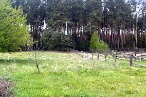 дом по адресу с. Гущинцы, Заводська ул.