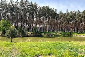 дом по адресу Бориспільський