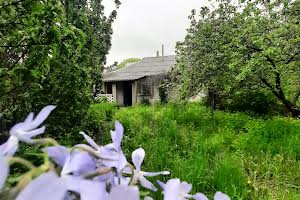 дом по адресу Центальна