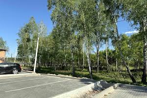 ділянка за адресою Кричевського