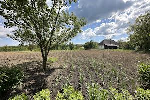 дом по адресу с. Каменная, Лесі Українки