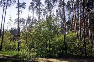 дом по адресу Речная ул., 6