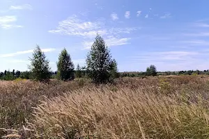 участок по адресу  ул.