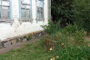 будинок за адресою Центральна