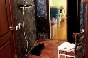 квартира по адресу Митрополита Андрея Шептицкого ул. (Анатолія Луначарського), 24