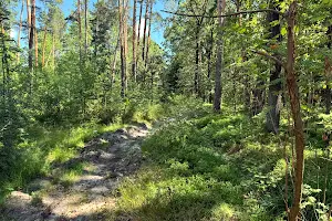 участок по адресу Богунська