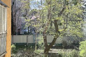 квартира по адресу Личаківська, 36