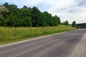 участок по адресу Васильков, 