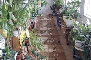будинок за адресою Молдавський провулок, 16