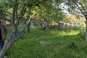 будинок за адресою Динамо, 21