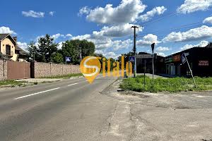 дом по адресу Піддубна