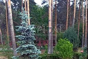 будинок за адресою Бучанське шосе