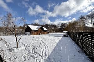 будинок за адресою Дубрівка вул., 1