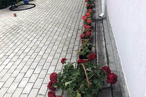 дом по адресу Бульвар Шевченка, 290