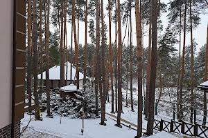 будинок за адресою Лісова