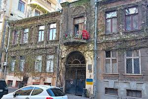 комерційна за адресою Віталія Боровика вул., 11