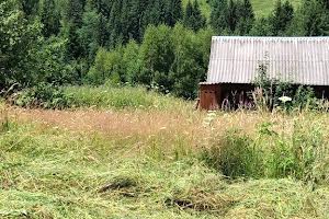 будинок за адресою Полінечник, 26