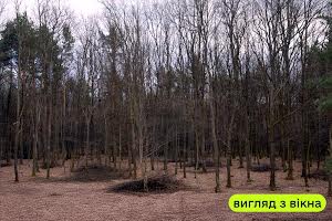 будинок за адресою Дзеркальна