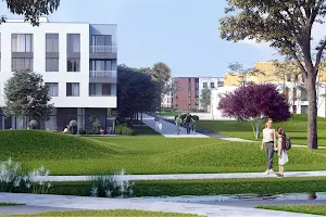 квартира за адресою шевченка, 4