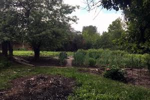 будинок за адресою Петра Дорошенка вул., 1