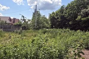 участок по адресу Світинська ул.