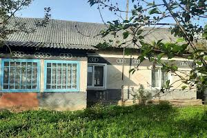 дом по адресу Левицького, 235
