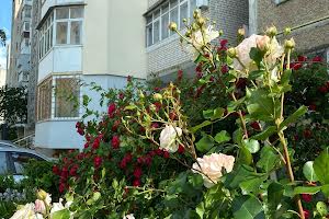 квартира за адресою Дмитра Майбороди вул. (Збишка), 6