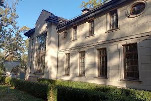 дом по адресу Тячівський пер. (Тургенєва)