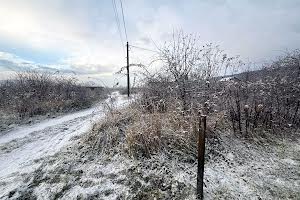 ділянка за адресою с. Невицьке, 