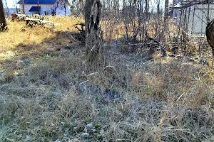 ділянка за адресою Ірпінь, Лугова вул.