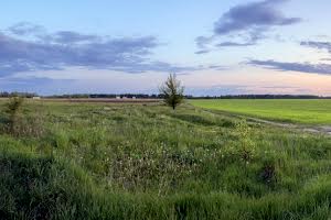 ділянка за адресою с. Микуличі, Привітна