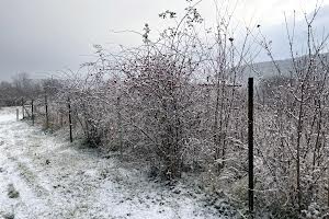 участок по адресу Ужанська Набережна