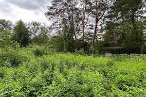 участок по адресу Школьная ул.
