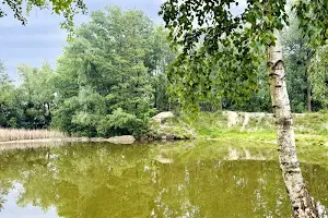 будинок за адресою Залужний пров., 10