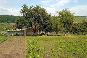 дом по адресу Василия Стуса ул.