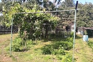дом по адресу Вільський Шлях, 101