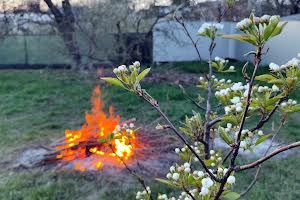 будинок за адресою Кутянська, 41