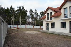будинок за адресою Бориспільський