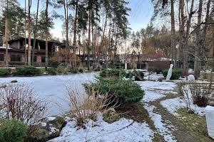 будинок за адресою бучанський