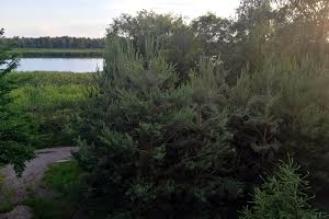 дом по адресу Белградская ул.