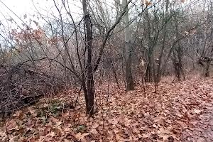 участок по адресу Лановая ул.