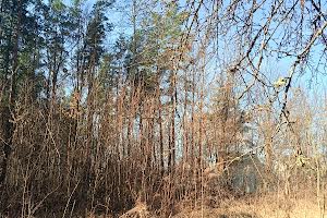 будинок за адресою Дачний масив