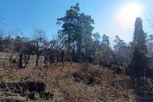 ділянка за адресою Антонія Михайловського вул., 42