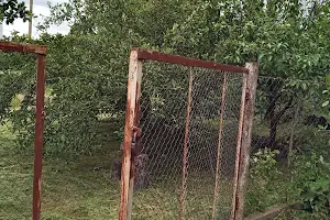 будинок за адресою Центральна