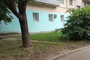 комерційна за адресою Вишгородська вул., 38